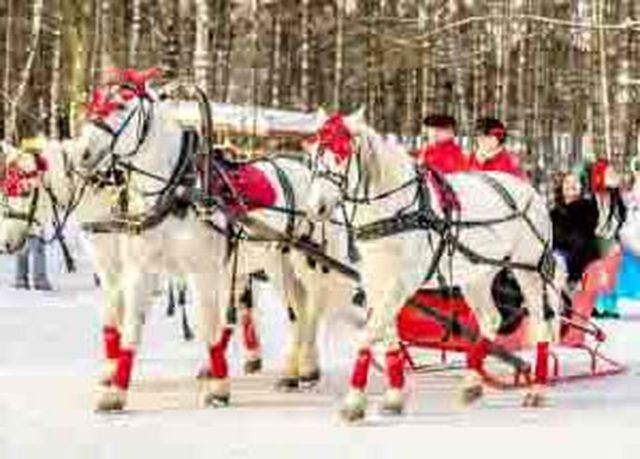 Аренда аренда саней «русская тройка» на свадьбу на свадьбу, фото
