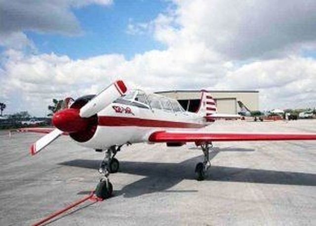 Аренда аренда самолета як-52 с экипажем на свадьбу, фото