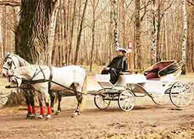 Аренда аренда кареты фаэтон «экипаж» на свадьбу на свадьбу, фото